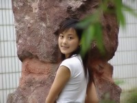 新来的女实习生 和她共事一定有故事发生