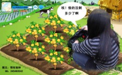 疯狂的偷菜人生！