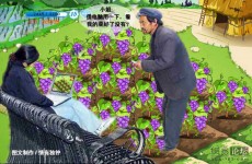 疯狂的偷菜人生！