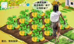 疯狂的偷菜人生！