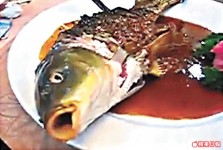 呼叫魚殘忍食法片段熱爆