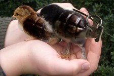 新一代生物武器[21P]
