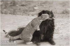 国外网站火辣猛图 太抓眼球了