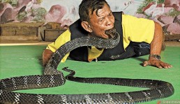 泰國人蛇搏擊鬥咬功