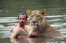 與獅共泳