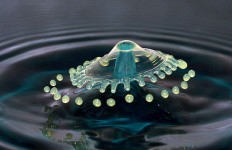 水花濺起的神奇瞬間