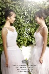 花与爱丽丝