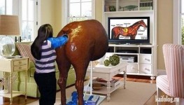 最新的Wii遊戲 - 檢查馬身體