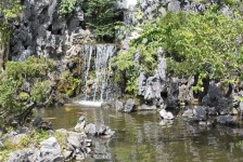 荃灣園玄學院