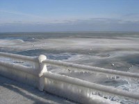 海水結冰了