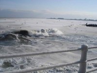 海水結冰了