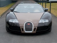 精品&名車結合 Bugatti Veyron Fbg par Hermes