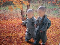 少林寺的招生海報