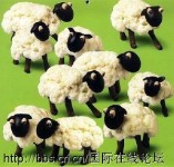 趣味蔬菜视觉秀