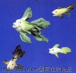 趣味蔬菜视觉秀