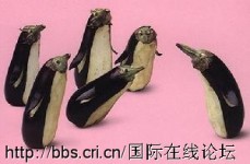 趣味蔬菜视觉秀