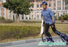 雙輪戰車溜冰鞋