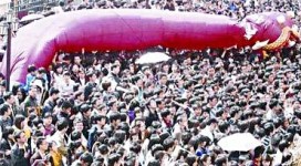 5000人湧入招聘會女生被迫到手臂甩骱