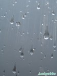 靜止的雨