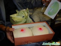日本的乳饅頭（18+）