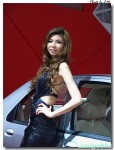深圳國際汽車博覽會2008 [20p]