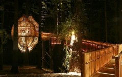 獨具風格的樹上餐廳