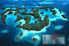 无毒水母：美丽奇异的帕劳水母湖(组图)(1)