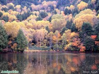Autumn Scene Wallpapers  1