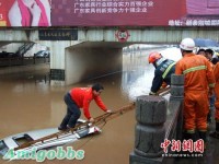 暴雨倾盆淹没小车 消防架云梯冒雨救两人