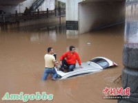 暴雨倾盆淹没小车 消防架云梯冒雨救两人