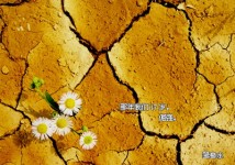 会有点维美，陶冶下情操