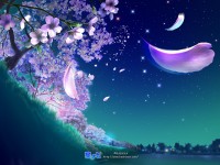 会有点维美，陶冶下情操