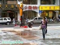 上海街頭竟有女子當眾脫褲便溺（18+）