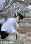 桃花美女
