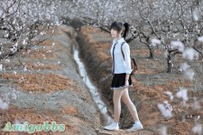 桃花美女