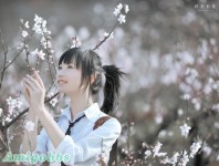桃花美女