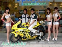 板神虎車隊女郎