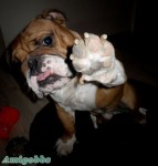 give me five