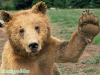 give me five