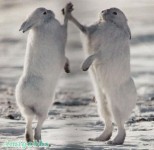 give me five