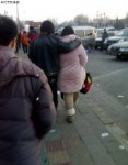 佩服那哥们旁 有如此牛逼的象腿