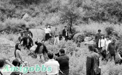村民持樹枝驅趕拍寫真裸女 稱丟人現眼(組圖)