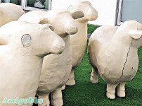 世博內地客坐爛荷蘭館「喜羊羊」