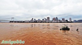 南方暴雨　 1000萬人受災 90死