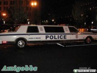 世界各地有趣的警車