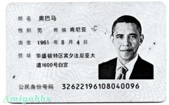 網民替奧巴馬製身份證
