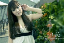 性感女郎小訫