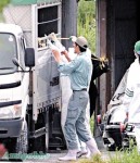 宮崎和牛滅絕　再嚐要等 7年