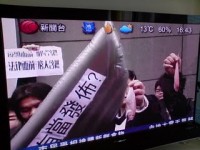 包致金姪女單案-感化了事