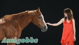 田馥甄首張大碟【To Hebe】宣傳圖
